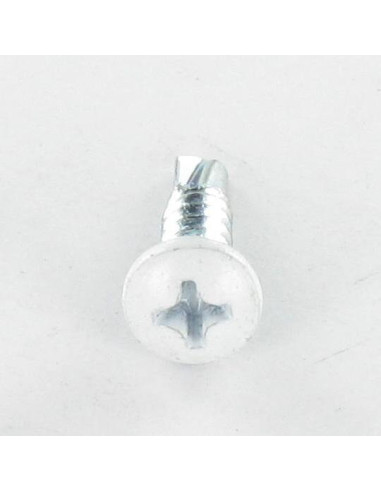 Autoperfurante cabeça cilíndrica panela phillips 4,8X19 rede de chapa Aço zinco branco RAL9010 branco puro