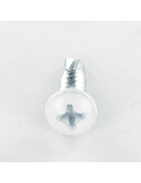 Autoperfurante cabeça cilíndrica panela phillips 4,8X19 rede de chapa Aço zinco branco RAL9010 branco puro