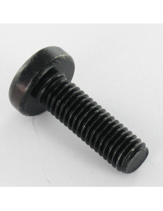 Parafuso de metais cabeça abaulada larga TORX T30 M6X16 Aço zinco preto 2