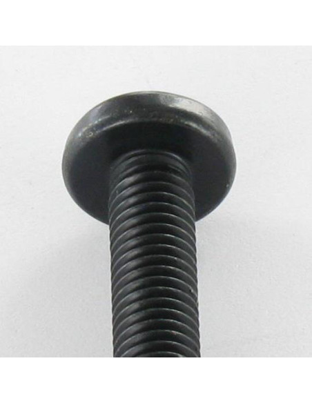 Parafuso de metais cabeça abaulada larga Pozi PZ6 M4X20 Aço zinco preto