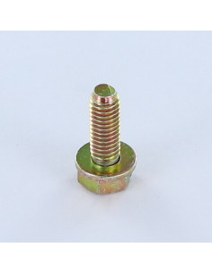 Parafuso de metais cabeça hexagonal ranhurada M6X18 com Rondela Dicromato 2
