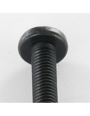Parafuso de metais cabeça abaulada larga Pozi PZ7 M6X30 Aço zinco preto