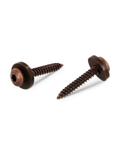 Parafuso de chapa cabeça cilíndrica TORX T15 + Rondela Nylon 3,9 x 19 Aço inoxidável A2 castanho