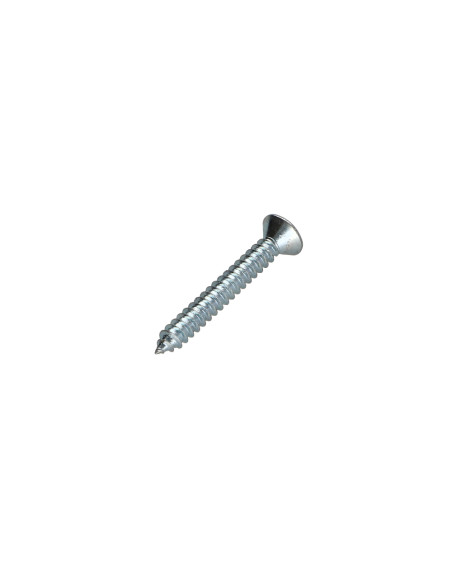 Parafuso de chapa cabeça fresada TORX T8 2,9 x 9,5 Aço zinco branco