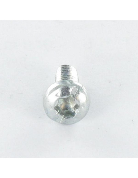 Parafuso autorroscante cabeça cilíndrica TORX roscado sobre sulcada 5X12 dentado Aço zinco branco