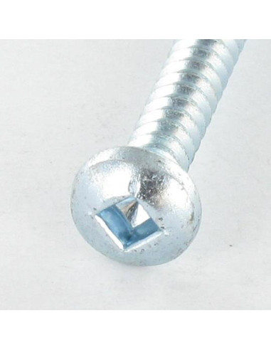 Parafuso de chapa cabeça abaulada larga quadrado 5,5X70 Aço zinco branco Parafuso com Cabeça com Fenda quadrada 3