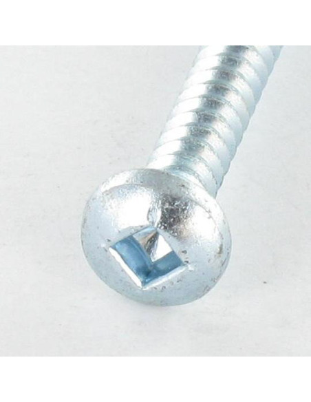 Parafuso de chapa cabeça abaulada larga quadrado 5,5X70 Aço zinco branco Parafuso com Cabeça com Fenda quadrada 3