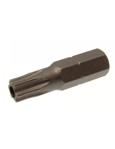 Ponteira Seguro TORX T15 - Parafuso Express