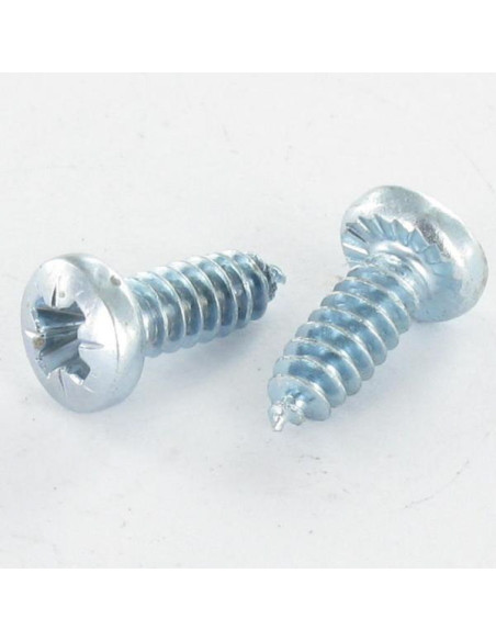 Parfuso de pvc cabeça abaulada larga Pozi dentado 4,3 x 12 Autoperfurante Perno 30 Aço zinco branco