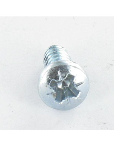 Parfuso de pvc cabeça abaulada larga Pozi dentado 4,3 x 12 Autoperfurante Perno 30 Aço zinco branco