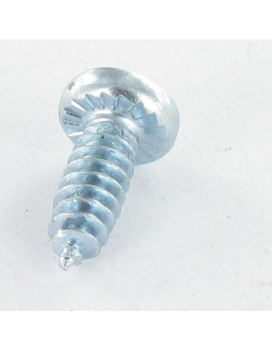 Parfuso de pvc cabeça abaulada larga Pozi dentado 4,3 x 12 Autoperfurante Perno 30 Aço zinco branco