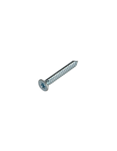 Parafuso de chapa cabeça fresada TORX T30 6,3X50 Aço zinco branco