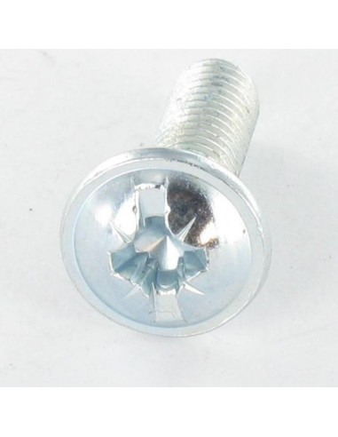 PARAFUSO cabeça de cogumelo Fenda Pozi M5X16 Aço zinco branco