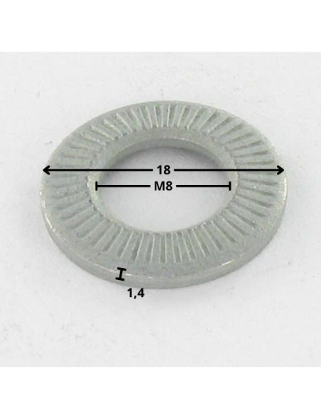 Arruelas de contacto M8X18X1,4 Aço zinco branco gama M (Média)