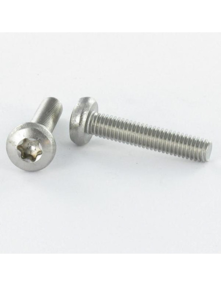 Parafuso de metais cabeça abaulada larga M5X10 TORX T25 Aço zinco branco