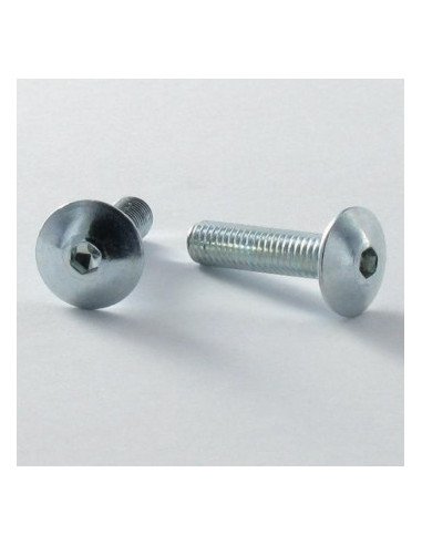 PARAFUSO cabeça de cogumelo chave de 4 M6X16 dentado ABAIXO cabeça Aço zinco branco