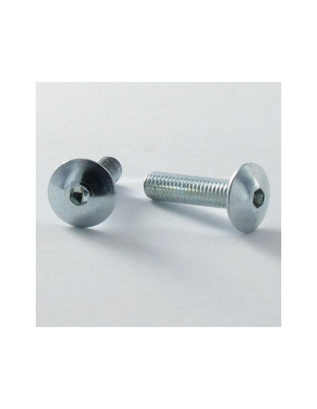 PARAFUSO cabeça de cogumelo chave de 4 M6X16 dentado ABAIXO cabeça Aço zinco branco