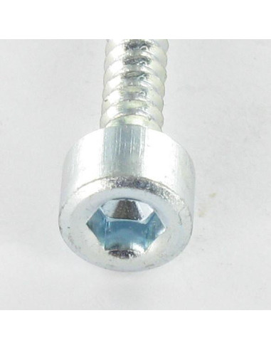 Parafuso de chapa Parafuso cabeça oca sextavada chave de 5 4,8X60 Aço zinco branco