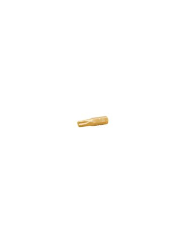 Ponteira Qualidade industrial 1/4" C6.3 Titânio TORX T25 comprimento 25
