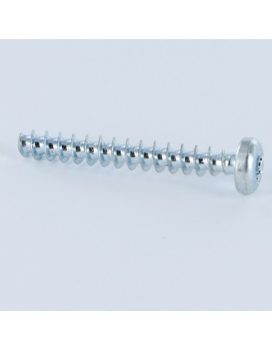 Parfuso de pvc cabeça cilíndrica TORX T20 4X12 Aço zinco branco