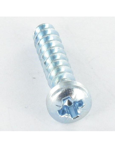 Parfuso de pvc cabeça cilíndrica panela Pozi PZ6 4X20 Perno 30 GRAUS Aço zinco branco