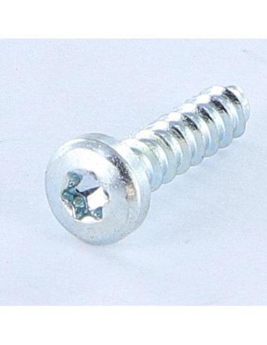Parfuso de pvc TRILOBE cabeça cilíndrica panela TORX T15 4X16 Perno 45 Aço zinco branco