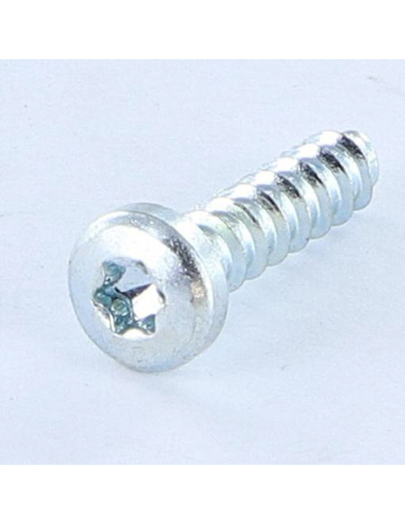Parfuso de pvc TRILOBE cabeça cilíndrica panela TORX T15 4X16 Perno 45 Aço zinco branco