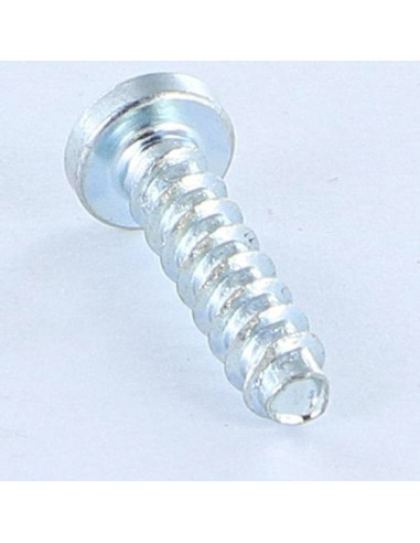 Parfuso de pvc TRILOBE cabeça cilíndrica panela TORX T15 4X16 Perno 45 Aço zinco branco