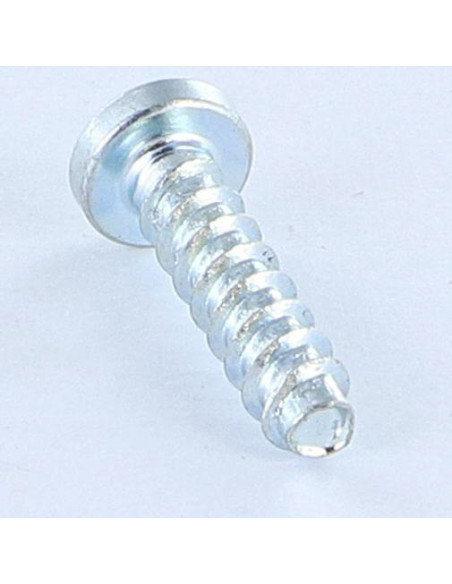 Parfuso de pvc TRILOBE cabeça cilíndrica panela TORX T15 4X16 Perno 45 Aço zinco branco
