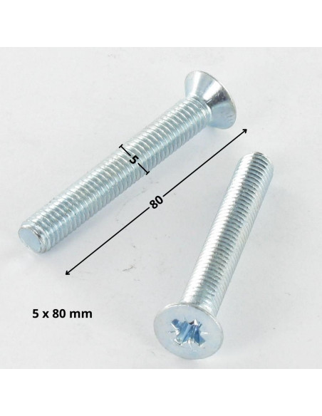 Parafuso de metais cabeça fresada Pozi PZ6 M5X80 Aço zinco branco