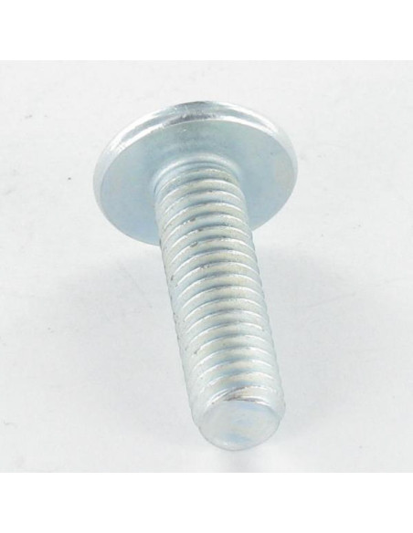 PARAFUSO cabeça de cogumelo Fenda Pozi M6X50 Aço zinco branco