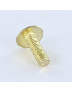 PARAFUSO cabeça de cogumelo sulcada em cruz M8X16 Bronze 2