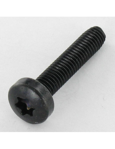 Parafuso autorroscante cabeça abaulada larga M4X8 TORX T20 Aço zinco preto