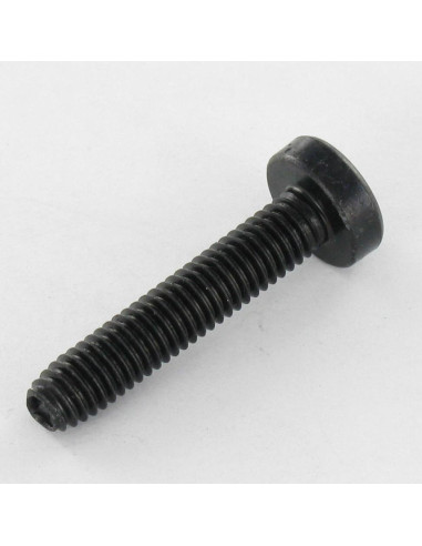 Parafuso autorroscante cabeça abaulada larga M4X8 TORX T20 Aço zinco preto
