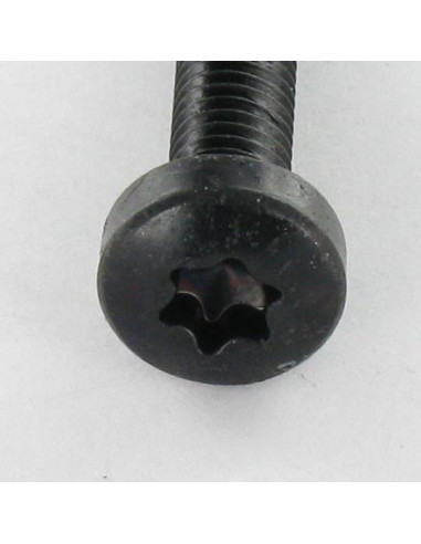 Parafuso autorroscante cabeça abaulada larga M4X8 TORX T20 Aço zinco preto