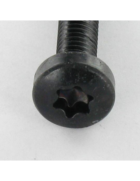 Parafuso autorroscante cabeça abaulada larga M4X8 TORX T20 Aço zinco preto