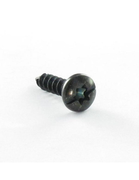 Parfuso de pvc cabeça de cogumelo TORX T20 + sulcada 4X16 Aço zinco preto
