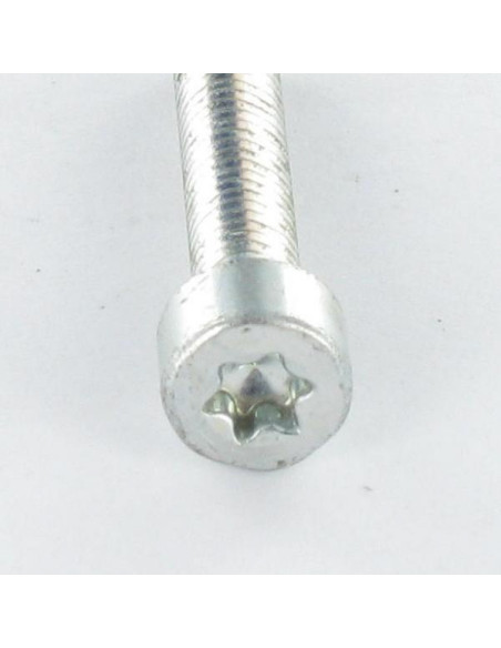 Parafuso autorroscante cabeça cilíndrica M4X20 TORX T20 Aço zinco branco