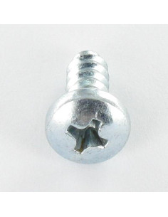 Parafuso de chapa cabeça abaulada larga Phillips 3 6,3 x 22 Aço zinco branco 2