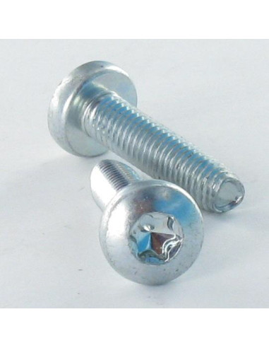 Parafuso autorroscante cabeça abaulada larga M3X12 TORX T10 Aço zinco branco microparafusos