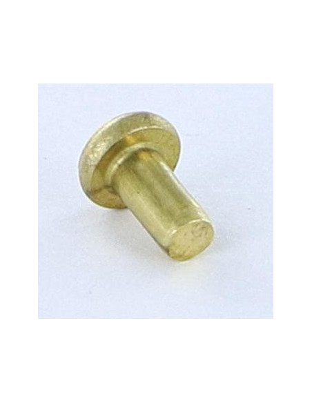 Rebite de ferro de cabeça plana cabeça plana 3X5,5 diâmetro da cabeça 5,5 EP1.3 Bronze