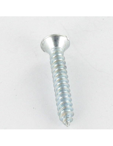 Parafuso de chapa cabeça fresada de panela sulcada 4,8X25 Aço zinco branco