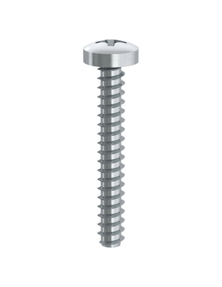 Parafuso de chapa cabeça cilíndrica Phillips 2 sem ponta 4,8X16 Aço zinco branco