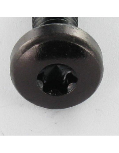 Parafuso de metais cabeça abaulada larga TORX T30 M6X12 Aço zinco preto