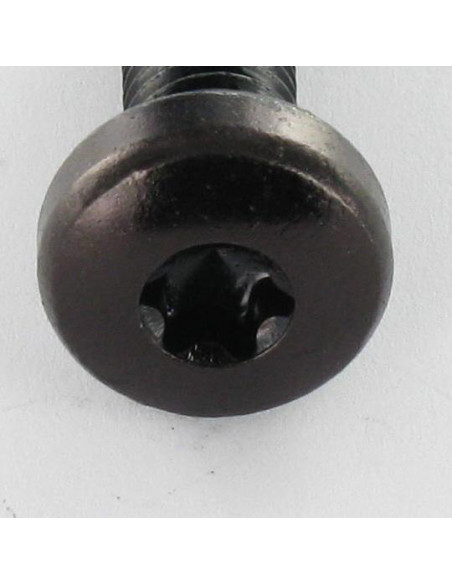 Parafuso de metais cabeça abaulada larga TORX T30 M6X12 Aço zinco preto