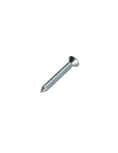 Parafuso de chapa cabeça fresada TORX T15 3,9 x 13 Aço zinco branco