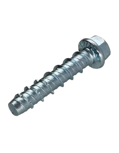 Parafuso de betão cabeça hexagonal flange com gola TORX T10 6X100 Aço zinco branco