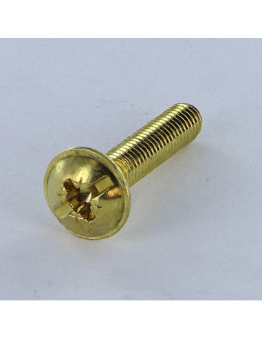 PARAFUSO cabeça de cogumelo Fenda Pozi M6X14 Aço latonado