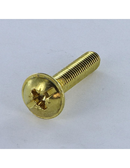 PARAFUSO cabeça de cogumelo Fenda Pozi M6X14 Aço latonado