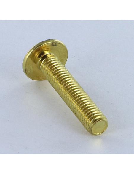 PARAFUSO cabeça de cogumelo Fenda Pozi M6X14 Aço latonado